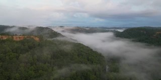 雾雾无人机飞越红河峡谷森林和肯塔基山脉