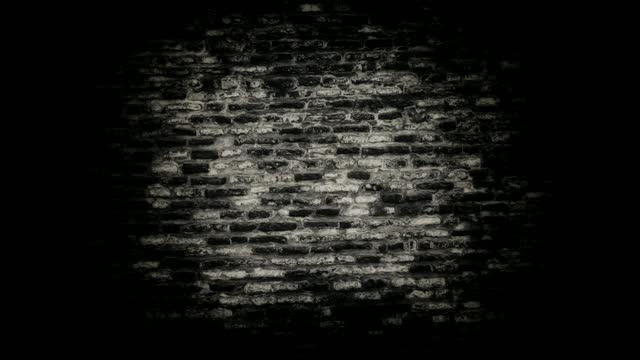 第9号霓虹灯动画闪耀和发光的黑色vignette砖墙。闪烁的霓虹灯，用途广泛。4 k的视频