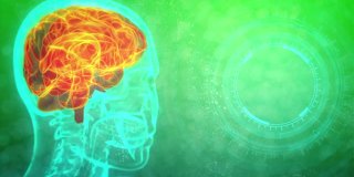 数字医疗4K 60fps 3D动画-伦琴人的头部图像突出的大脑和医疗平板旋转，大脑愈合的概念