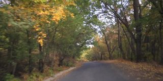 秋天在森林里开车旅行