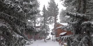 雪下的房子和树城市的窗户和阳台下的降雪视频…保存