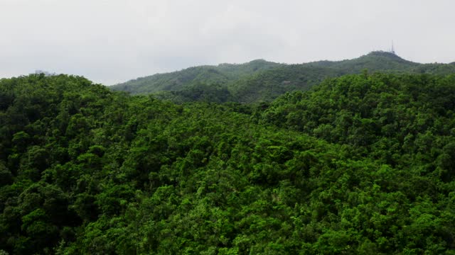 香港金山郊野公园九龙水塘的无人机照片