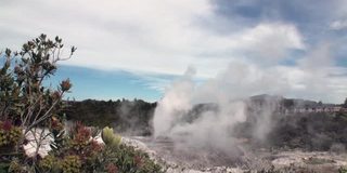 在新西兰的森林和天空地平线背景上的间歇泉。