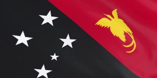 巴布亚新几内亚的旗帜环