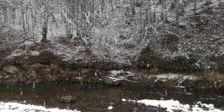 山河在下雪