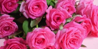 花园里美丽的玫瑰花。玫瑰花的背景。玫瑰花朵纹理。美丽的玫瑰。热带花园里的玫瑰。色彩鲜艳的玫瑰花。
