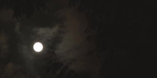 在怪诞之夜建立月亮