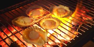 大鲜扇贝壳海鲜用木炭在金属网上烧烤，烧烤在野外露营烧烤烹饪风格