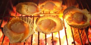 大鲜扇贝壳海鲜用木炭在金属网上烧烤，烧烤在野外露营烧烤烹饪风格