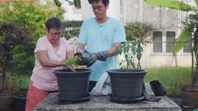 大流行期间的家庭团聚:亚洲母亲和儿子在自家后院种树。