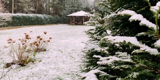 冬天的第一场雪，树枝上已经布满了雪。白雪覆盖的田野和巨大的木制凉亭。