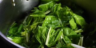 新鲜的甜菜根绿色健康的绿色食物蔬菜和蔬菜准备在热水中煮