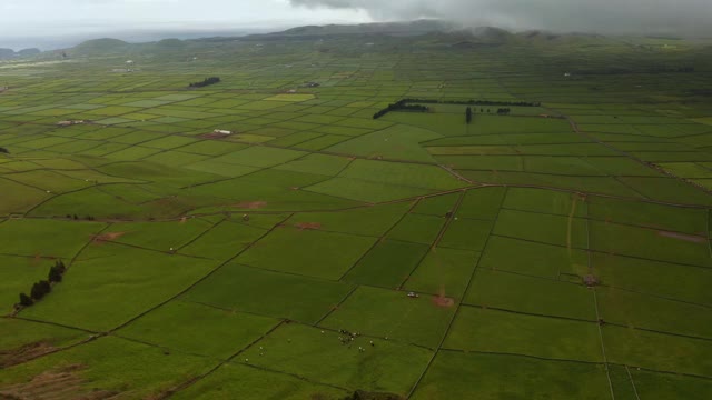 拼凑的农田里的Aerila。绿谷Serra do Cume，特塞拉岛，亚速尔群岛，葡萄牙