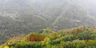 美丽的风景，武当山，中国湖北省