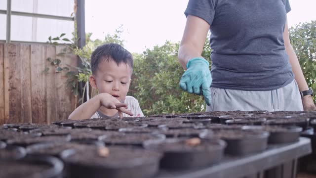 亚洲妈妈和孩子正在帮助在家里种树。