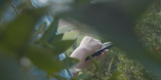 亚洲女园丁使用数字平板电脑检查她的植物和检查作物信息在橙子田花园与慢镜头。