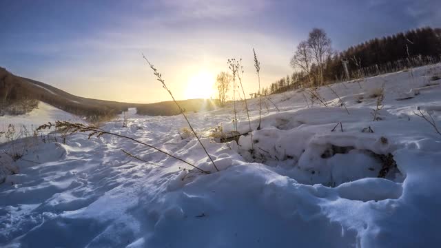 间隔拍摄。日落在雪山与树木。