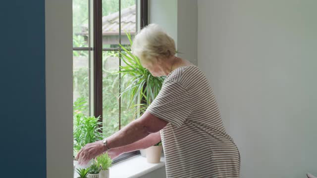 植物使房子看起来更温馨