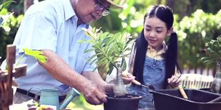 爷爷和孙女在家里的花园里种树。退休年龄的生活方式与家人在暑假。