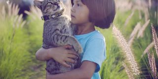 亚洲小女孩在花园里夏天。孩子在户外抱着小猫。