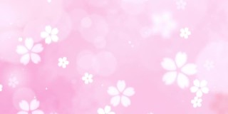 樱花跳舞。粉红色的背景。一个适合庆祝的背景视频，如情人节和婚礼。