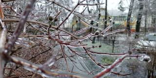 欧洲，乌克兰，基辅——2020年12月11日:异常天气。沉重的冰。在路上结冰结冰。冻僵的草和树