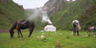 在中国西藏(甘肃)的山区，马在牧民居住的帐篷附近吃草。