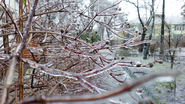欧洲，乌克兰，基辅——2020年12月11日:异常天气。沉重的冰。在路上结冰结冰。冻僵的草和树