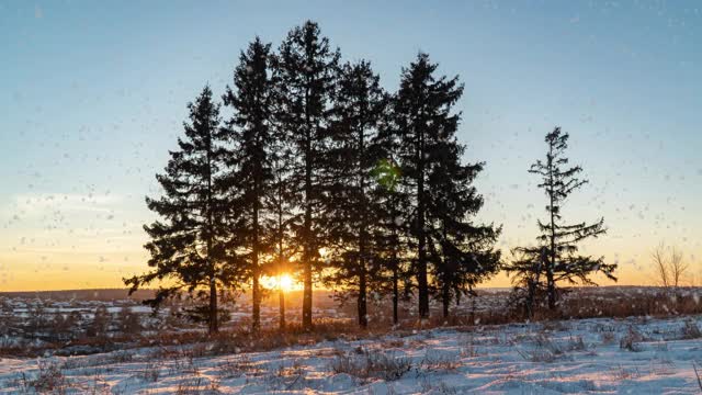 令人惊叹的冬季景观与浪漫的雾蒙蒙的日落。冬天白雪覆盖的森林里下着柔和的雪。冬季日落的时间流逝