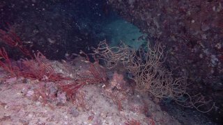 水肺潜水穿过深海水下洞穴视频素材模板下载