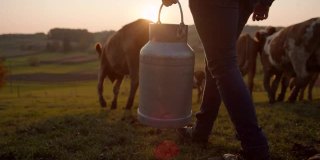 扛着一桶牛奶在牧场上的农民