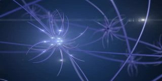 用电脉冲对相互连接的神经元进行4k渲染。