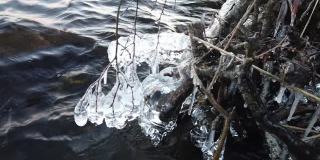 芬兰，当湖面开始结冰时，植物被冰覆盖