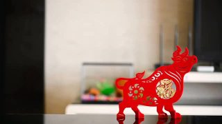 潘视图站立的牛吉祥物在客厅作为象征的中国新年的牛，中国意味着好运视频素材模板下载