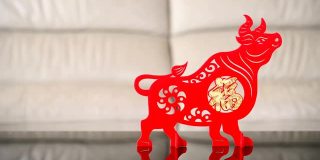 潘观站立的牛吉祥物在沙发前作为象征的中国新年的牛，中国意味着好运