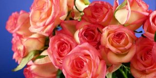水花落在一束粉红色玫瑰花上的特写镜头。夏雨和鲜花。花,浇水。花店。选择性聚焦，浅景深