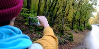 女游客用手机拍照用于社交媒体，森林路