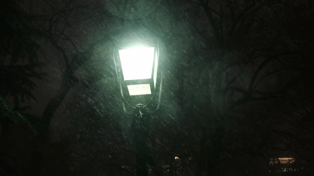 夜晚暴风雪中的街灯