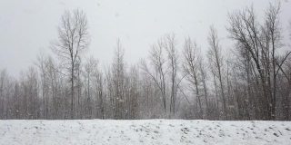 加拿大暴风雪期间的道路视频。