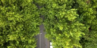鸟瞰图树木和道路在城市的交通和汽车在街道上移动。