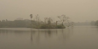 在一个有雾的冬天早晨，在Rabindra Sarobar湖。印度南加尔各答，西孟加拉邦。