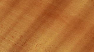 木桌山毛榉树视频背景视频素材模板下载