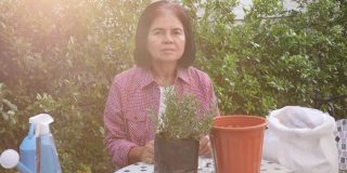 肖像拍摄一位快乐的退休亚洲资深妇女挥手，户外种植活动的概念