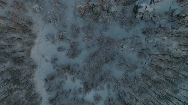 从上到下拍摄的冰冻冬季森林无人机库存视频，4k帧率60 /秒