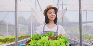 美丽的农民女孩扛着一盒蔬菜绿色沙拉在水培温室农场。她移动着车厢，微笑着看着镜头。慢动作镜头。农业业务。