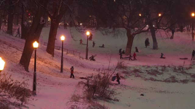 蒙特利尔公共公园在一个下雪的12月的夜晚