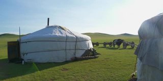 蒙古草原上的白色蒙古包帐篷和牛车
