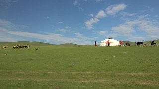 一个家庭在蒙古的草地上搭建蒙古包帐篷视频素材模板下载