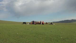 一个家庭在蒙古的草地上搭建蒙古包帐篷视频素材模板下载