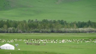 蒙古包帐篷在蒙古平原地理视频素材模板下载